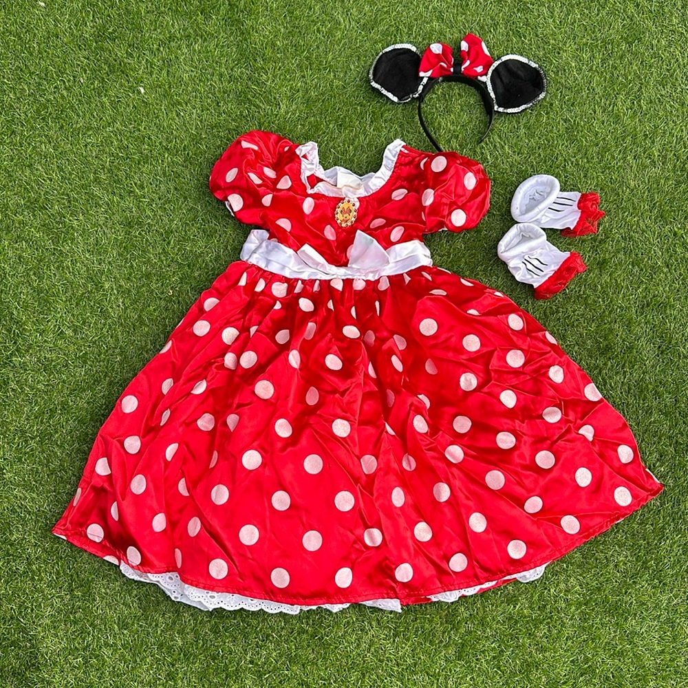 Minnie Mouse Costume